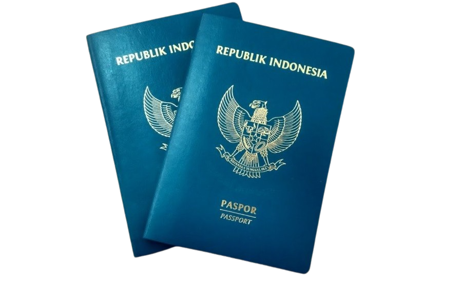 paspor biasa
